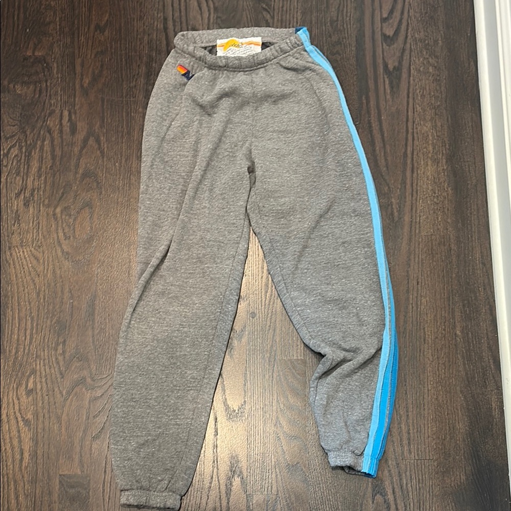 Aviator Nation Gray and Blue Sweatpants with Elastic Cuffs